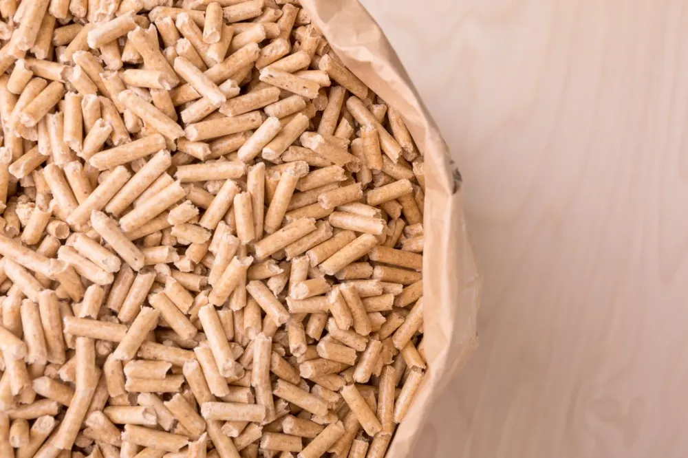 sac-granules